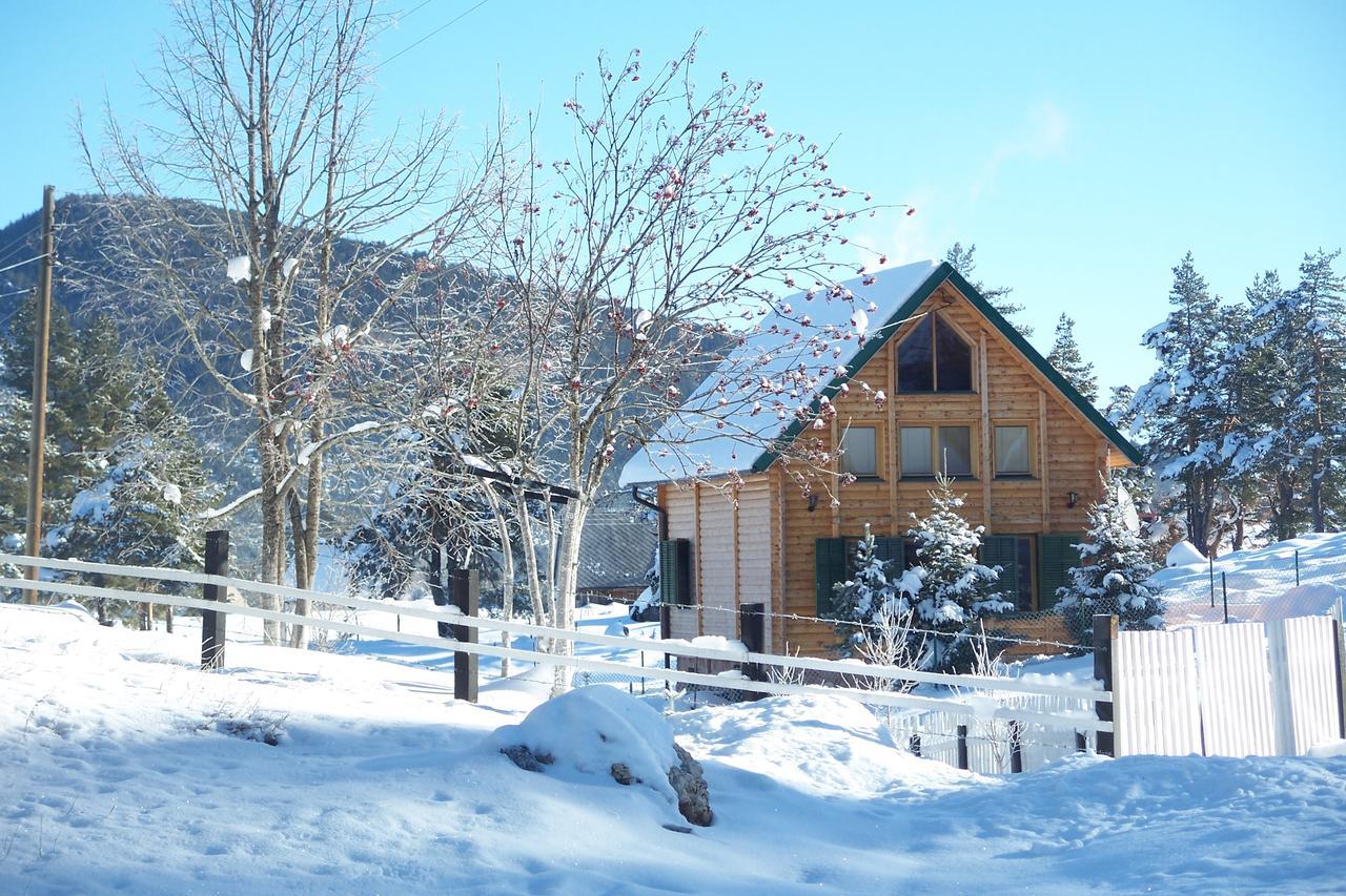 Kuca U Borju - House In Pines Apartment Žabljak Екстериор снимка