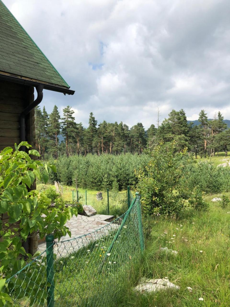 Kuca U Borju - House In Pines Apartment Žabljak Екстериор снимка
