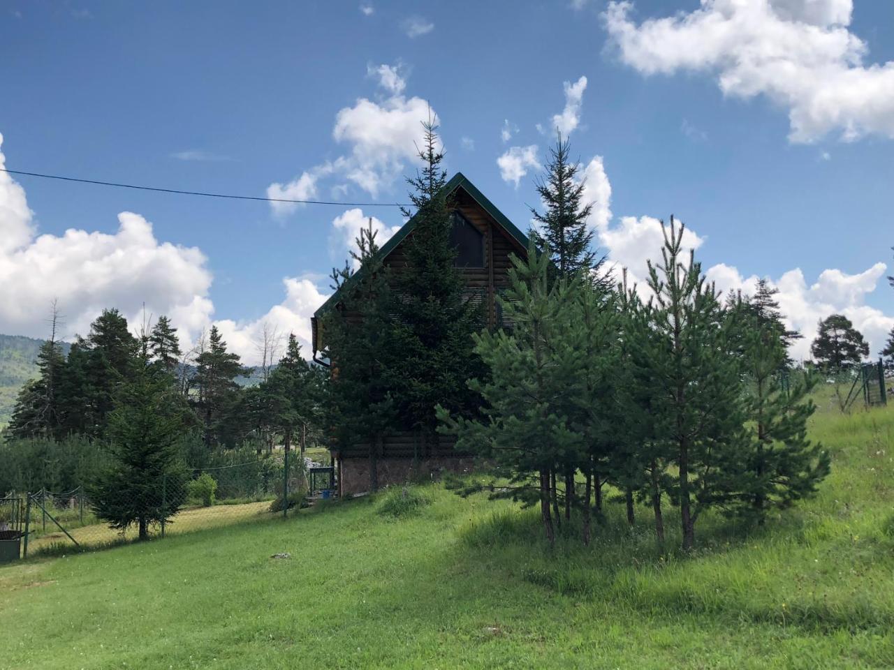 Kuca U Borju - House In Pines Apartment Žabljak Екстериор снимка