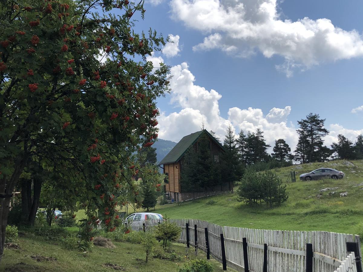 Kuca U Borju - House In Pines Apartment Žabljak Екстериор снимка