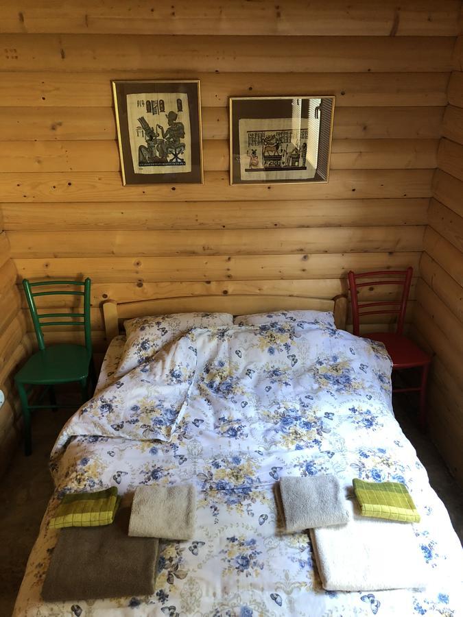Kuca U Borju - House In Pines Apartment Žabljak Екстериор снимка